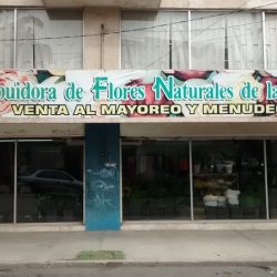 Distribuidora De Flores Naturales De La Laguna