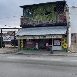 Distribuidora De Flores Perdomo