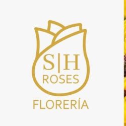 Distribuidora De Flores Sh