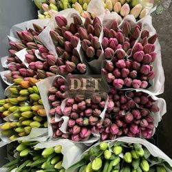Distribuidora De Flores Tijuana Dft