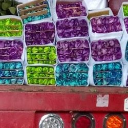 Distribuidora De Flores Y Follajes Finos Camila
