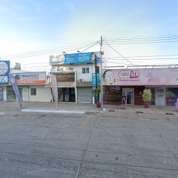 Distribuidora De Flores Y Follajes Valle