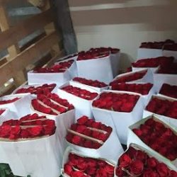 Distribuidora Florarte