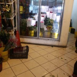 Distribuidora Flores Y Follajes Del Centro