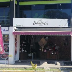 Domenica Floreria Morelia