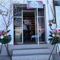 Dos Tulipanes