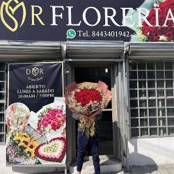 Dr Flower Shop