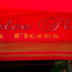 Dulce Flor