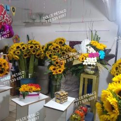 Dulce Pétalo