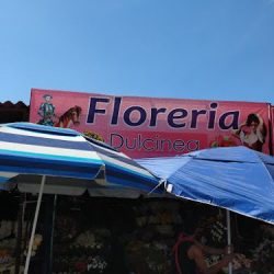 Dulcinea