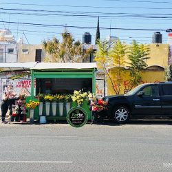 Ecoflor Floristería Profesional