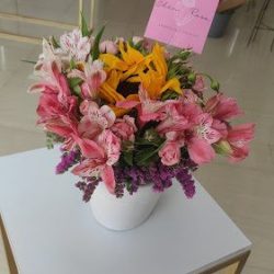 Edén Rosa Florería