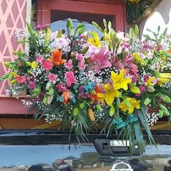 Edith Floristería