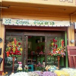 El Eden Florería