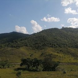 El Encinal