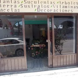 El Jardincito De Monse