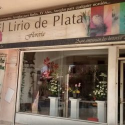 El Lirio De Plata