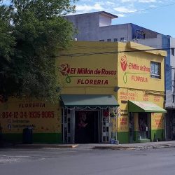 El Millón De Rosas
