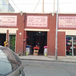 El Mundo De Las Flores