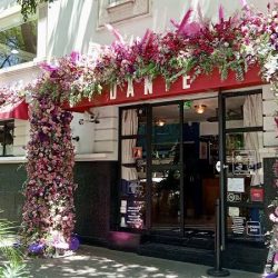 El Mundo De Las Flores