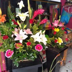 El Mundo De Las Flores