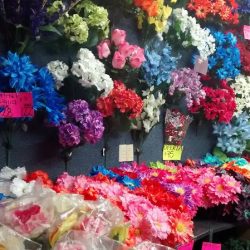 El Mundo De Las Flores