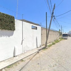 El Nayar