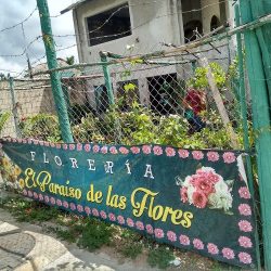 El Paraiso De Las Flores
