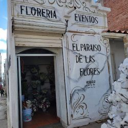 El Paraíso De Las Flores