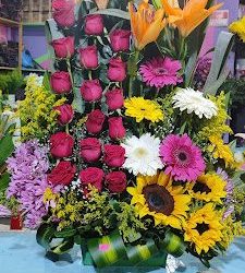El Paraíso De Las Flores Alely