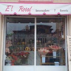 El Rosal Invernadero Y Florería