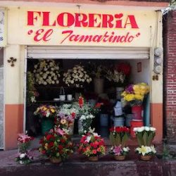El Tamarindo