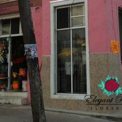 Elegant Rose Florería