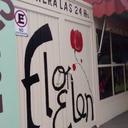 Elen Floristería