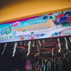 Emislove Floristería