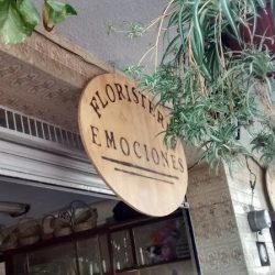 Emociones