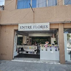 Entre Flores Díseño Floral