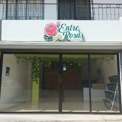 Entre Rosas Floreria