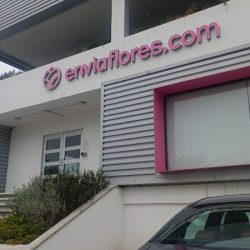 Enviaflores.com - Mty
