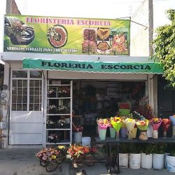 Escorcia Floreria