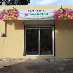 Esencia Floral