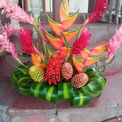 "esmeralda García" Arreglos Florales (heliconias) Y Plantas