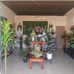 Espacio Verde