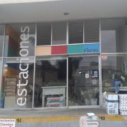 Estaciones Flores