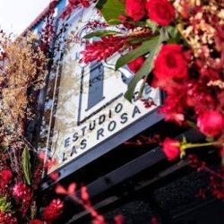 Estudio De Las Rosas