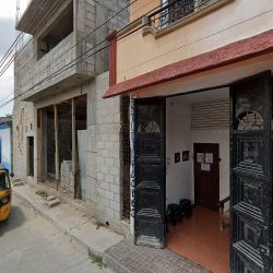 Estudio Flores