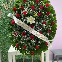 Eufloria Ramón Rayón