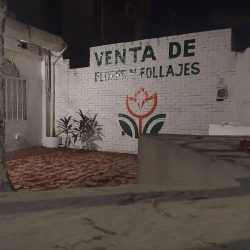 Euroflores