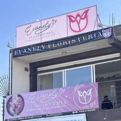 Evanely Floristeria