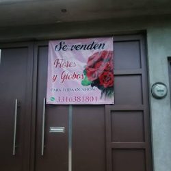 Eventos Rosa De Jericó
